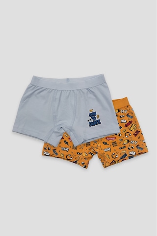 Defne Baby Erkek Çocuk Desenli Premium Pamuklu 2'li Boxer Seti Çok Renkli