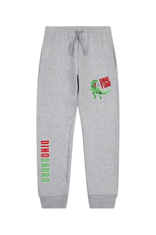 Panios Kids Dino Fun Baskılı Çift Cepli Erkek Çocuk Jogger Eşofman Altı Gri