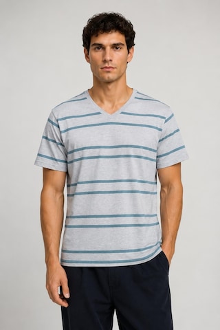 Alexandergardi V Yaka Çizgili T-shirt Gri