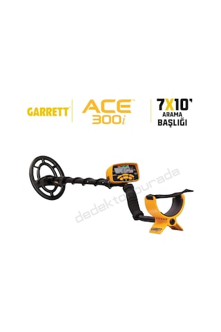 Garrett Ace300i