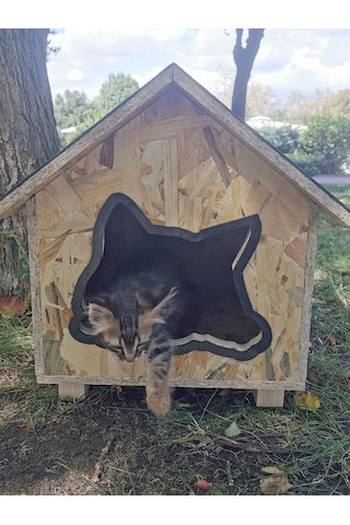 Suya Dayanıklı Kaliteli Ahşap Kedi Kulubesi