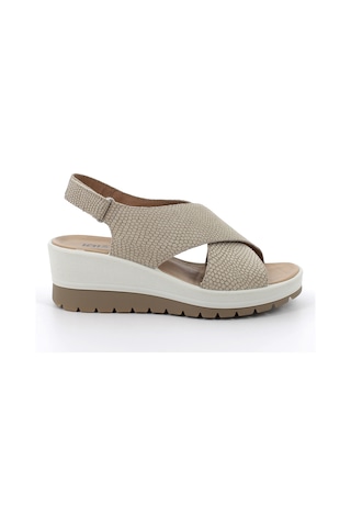 Sandalet Kadın Diğer 7664722 Igı&co Dcl 76647 Nab.st.mambo La Champagne Champagne Çok Renkli