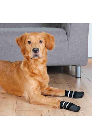 Trixie Kaymaz Çizgili Desen Köpek Çorabı 2 Adet