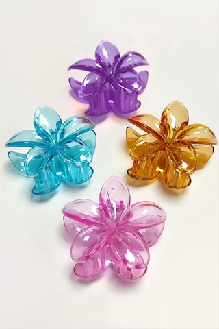 Lotus Toka 8 Cm Çok Renkli
