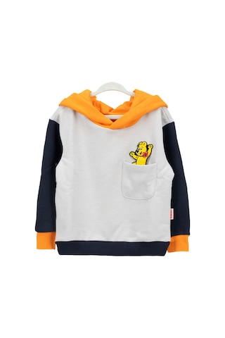 Haribo Hari Bo Hoodie Unisex Çocuk Gri Sweatshirt 24151 Gri