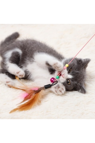 3 Adet Kedi Oyun Oltası 90 Cm Esnek Renkli Aksesuarlı