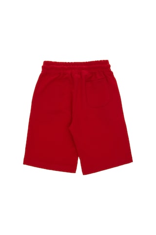 U.s. Polo Assn. Erkek Çocuk Kırmızı Şort Örme 50306515-vr030 Kırmızı