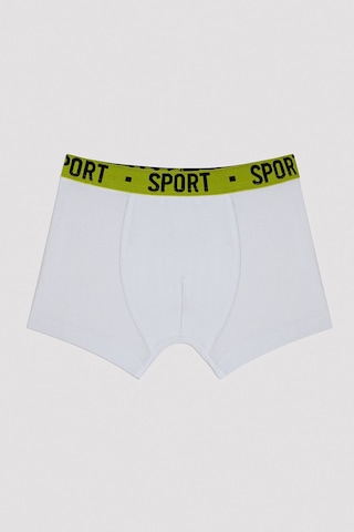 Penti Erkek Çocuk Cool Spor 2li Boxer Çok Renkli