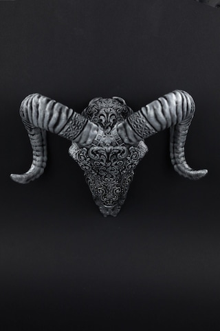 Koyun - Kuru Kafa - Figür / Büst - 17cm