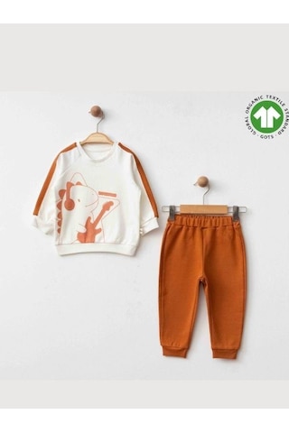Erkek Bebek Dinazor Baskılı Organik Eşofman Takım-15477 renkli