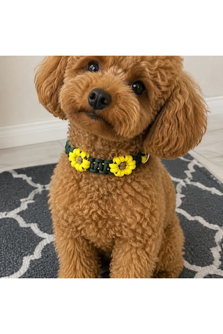 Pawknot Paracord Papatya Desenli Paracord El Yapımı Hand Made Köpek Tasması Açık Kahverengi - Yeşil - Sarı