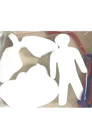 Misyon Kiwi Dolaşım Sistemleri Çalışması