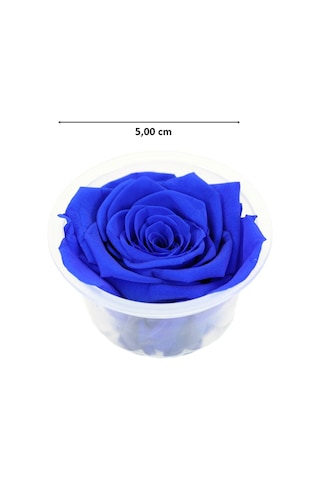 Şoklanmış Solmayan Gül. 5 CM - Lacivert