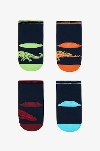 Penti Erkek Çocuk Dinosaur Era 4lü Soket Çorap