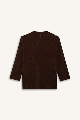 Defacto Regular Fit Bisiklet Yaka Ajurlu Triko Tunik G0710ax25wnbn330 Kahve-bn330