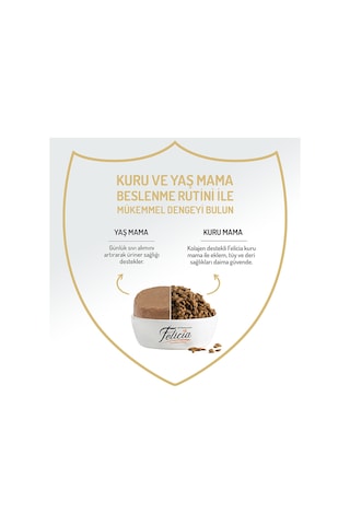 %97 Proteinli Tahılsız Kuzulu Ezme Yetişkin Küçük Irk Köpek Konserve Maması 400 Gr X 2 Adet