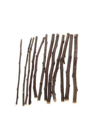 Kemirgenler Için Elma Ağacı Dalı