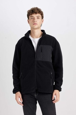 DeFacto Regular Fit Dik Yaka Fermuarlı Cepli Polar Hırka A6892AX24WNBK81 Siyah