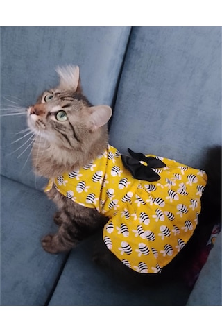 Arı Desenli Sarı Kedi Köpek Kıyafeti Elbisesi