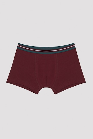 Penti Erkek Çocuk Simple Bn 2'li Boxer Çok Renkli