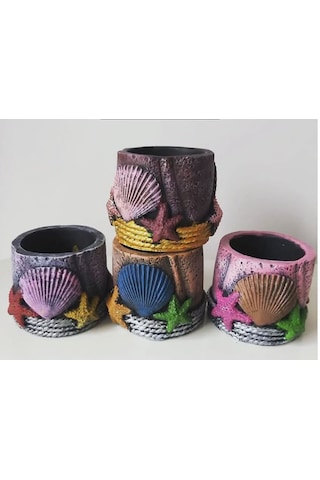 Deniz Kabuklu Saksı