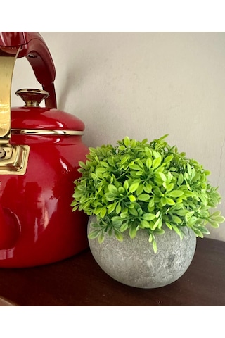 Yapay Şimşir Boxwood Çiçeği Antrasit Modern Saksılı Premium Ev Ofis Dekoru Yeşil