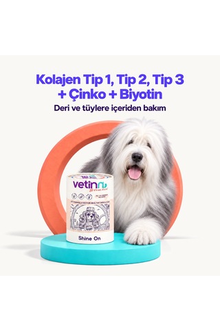 Shine On - Köpek Deri Ve Tüy Sağlığı Destekleyici, Dökülme Karşıtı, Tüy Parlaklığı, Kolay Taranan Tüyler, Toz Form, 150 Gram