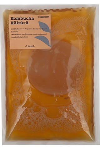 Kombuscoby Kombucha Başlangıç Kültürü 200 ML Kombuscoby Kombucha Başlangıç Kültürü 200 ML
