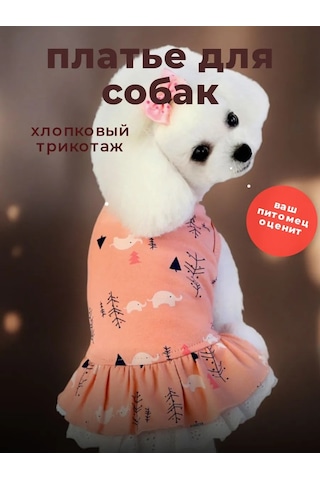 Best Golden Monkey Köpekler İçin Mercan Elbise 171019675