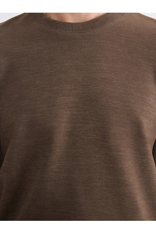 Lcw Vision Kahverengi Regular Fit Bisiklet Yaka Erkek Triko Sweatshirt