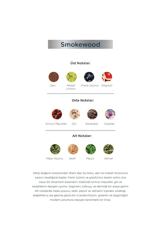 Aryene Smokewood Debut Erkek Parfüm 50 Ml Odunsu