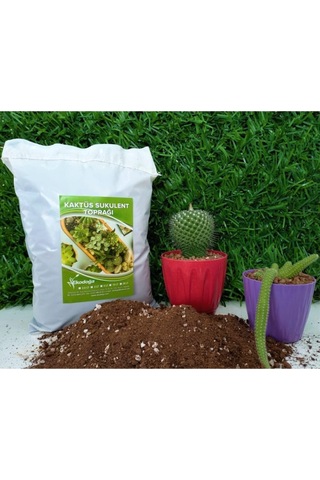 Kaktüs Toprağı 10 Lt Sukulent Toprağı Aloe Vera Toprağı Ithal Torf Pomza Perlit Vermikulit Karışımı Diğer