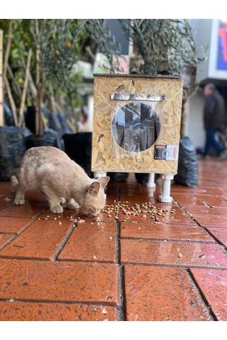 Reyo Narım Dış & Iç Mekan Ahşap Kedi Yuvası, Kedi Barınağı 35x40x35 Monteli Teslimat