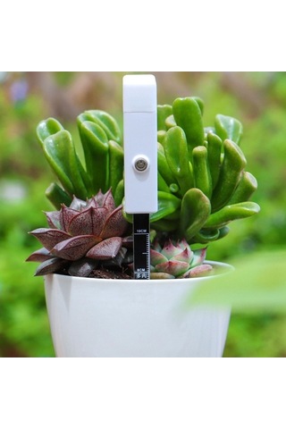 Trendooze Homyl Toprak Nem Sensörü Çiftlik Bonsai Dikim Cihazı