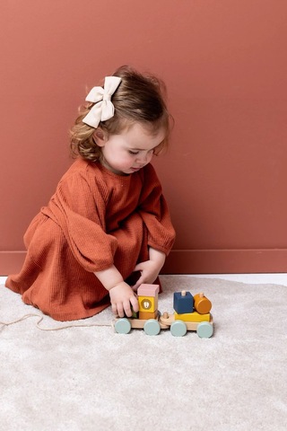 Trixie Oyuncak Ahşap Mini Tren Seti 36-311 Belirtilmemiş