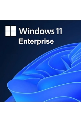 Windows 11 Enterprise Lisans Key
