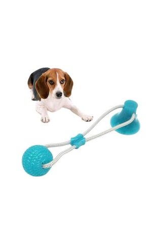 Nunbell Köpek Vantuzlu DişTopu Çok Renkli