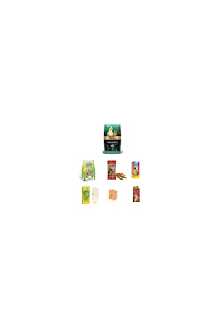 Purecanpati Gold Wings Premium Paraket Sultan Cennet Papağanı Yem