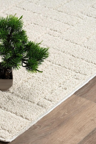Raschel Carpet Kaymaz Taban Moopy Krem Rengi Bukleli Yumuşak Soft Dokuma Yolluk Halı Salon Halısı Lp1001a, 100 X 450 Diğer