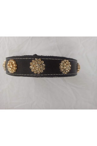 Kozaklı Deri Köpek Tasması Siyah 60 x 65 x 70 CM Siyah