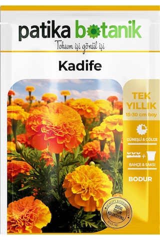 Patika Botanik 50 Adet Bodur Kadife Çiçek Tohumu Tagetes L.