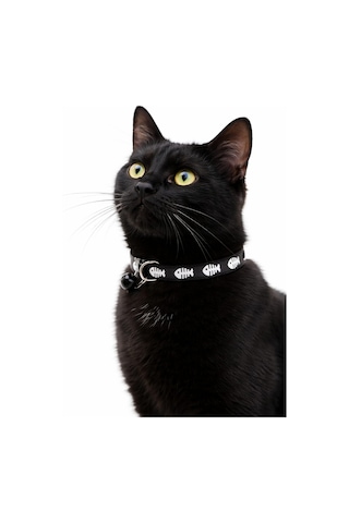 Kedi Köpek Boyun Tasması 19 - 32 CM Siyah