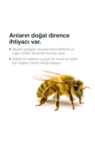 Vetorax Nane Kekik Premiks 5 Litre Arılar İçin Sıvı Yem Premiksi