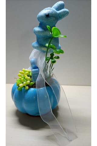 Neolife Yeni Doğan Erkek Bebek Hediyesi Doğum Tebrik Hediyesi Sevimli Tavşancık Detaylı Kabak Teraryum