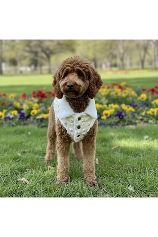 Kedi - Köpek İçi Polarlı Dışı Payetli Kışlık Kot Ceket - Mont - Yağmurluk - Yelek -kıyafet