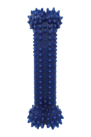Nylabone Tavuk Aromalı Dental Köpek Oyuncağı XS