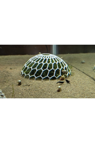 2 Adet Akvaryum Moss Dome Yosun & Bitki Koruma Kubbesi