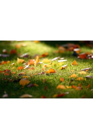 Yapay Çim Halı 40 Mm 2,5*7,95