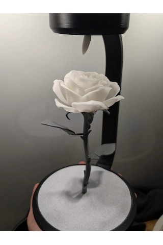 Moonlamp Beyaz Gül Dekoratif Hediyelik Lamba