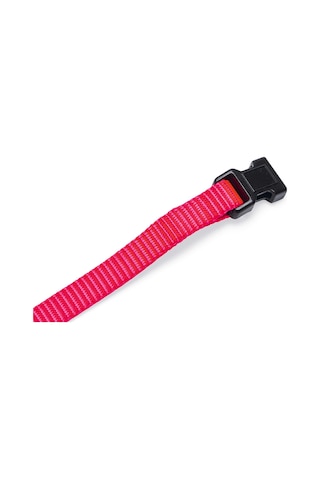 Beeztees Yavru Köpek Boyun Tasması, Çeşitli Renklerde, 22-35cm, 10mm Çok Renkli